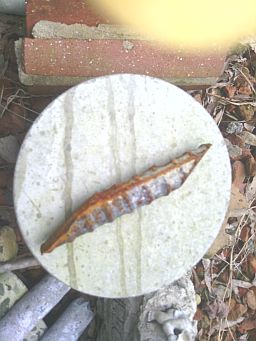 5" core drill bit cores. concrete 5" cores